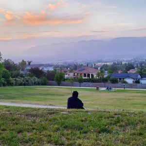 Meet your Posher, Elvis